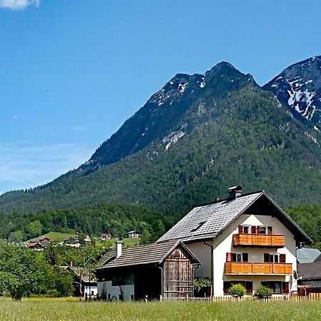 Ferienwohnung Haus Moni Bad Goisern am Hallstättersee Exterior foto